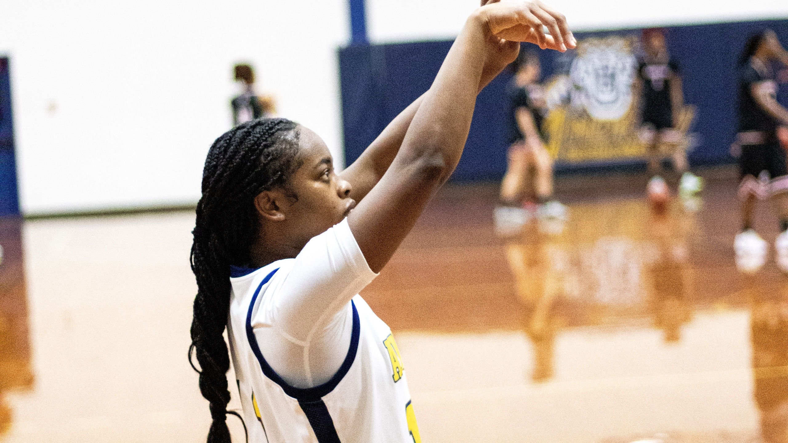 Lady Tigers Fall to Albany Tech in Conference Matchup