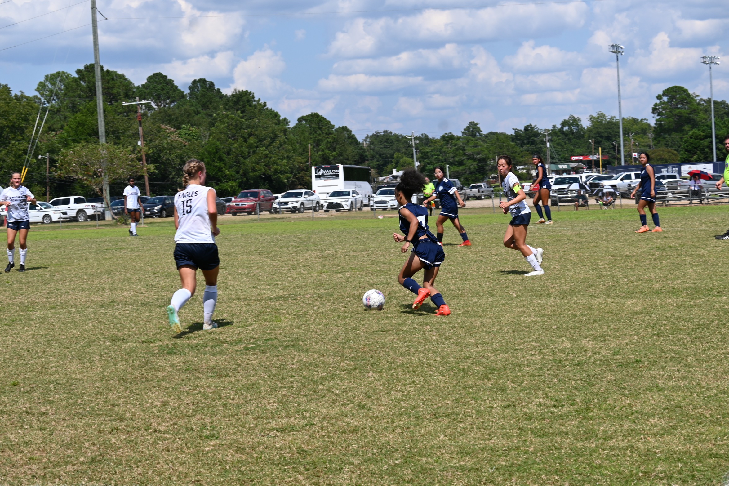 Fighting Tigers Fall to Titans