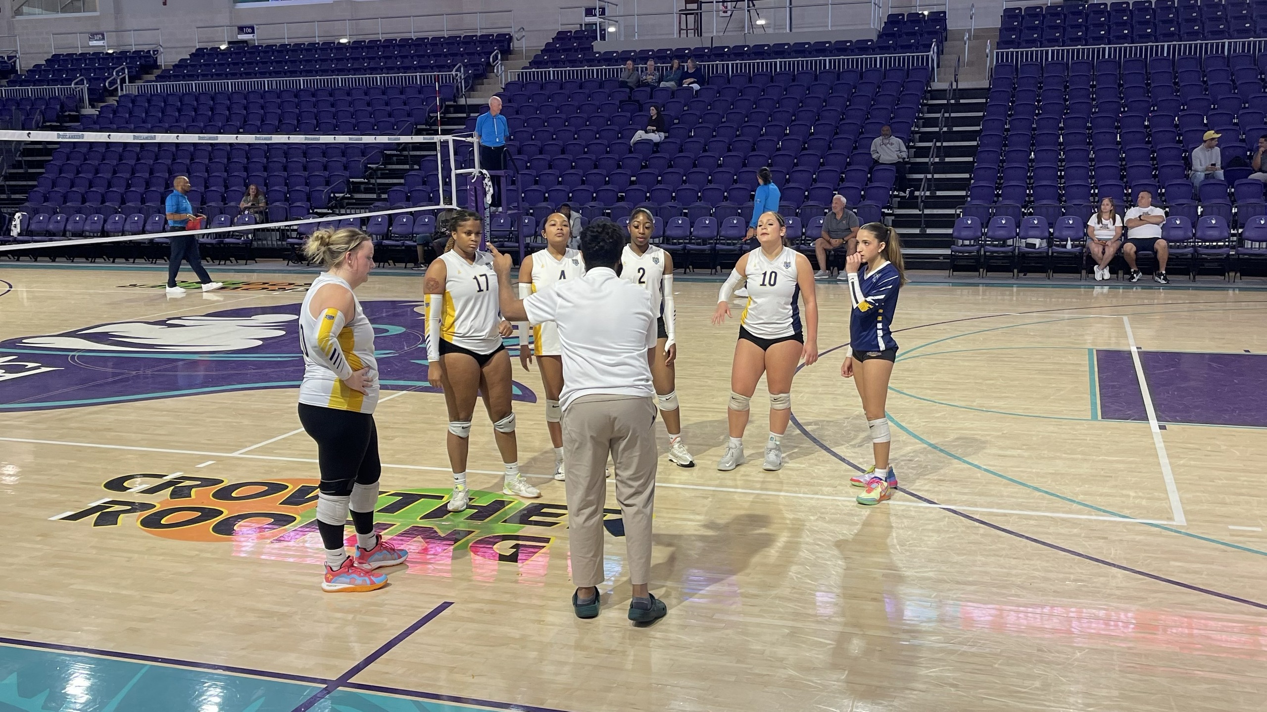 Andrew College Volleyball Set to Participate in the NAIA and SSAC